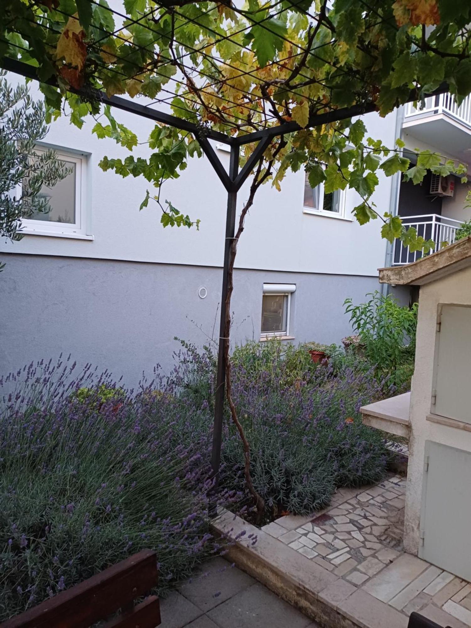 Apartment Sano Podstrana Rom bilde